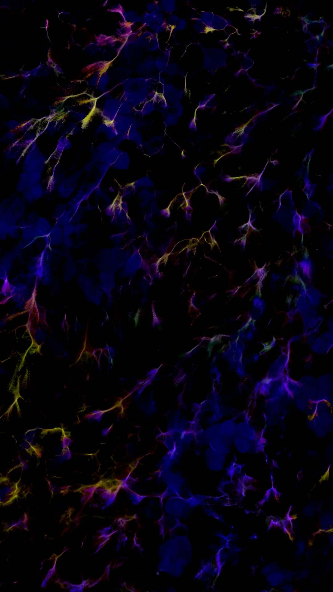 myceliumaudio