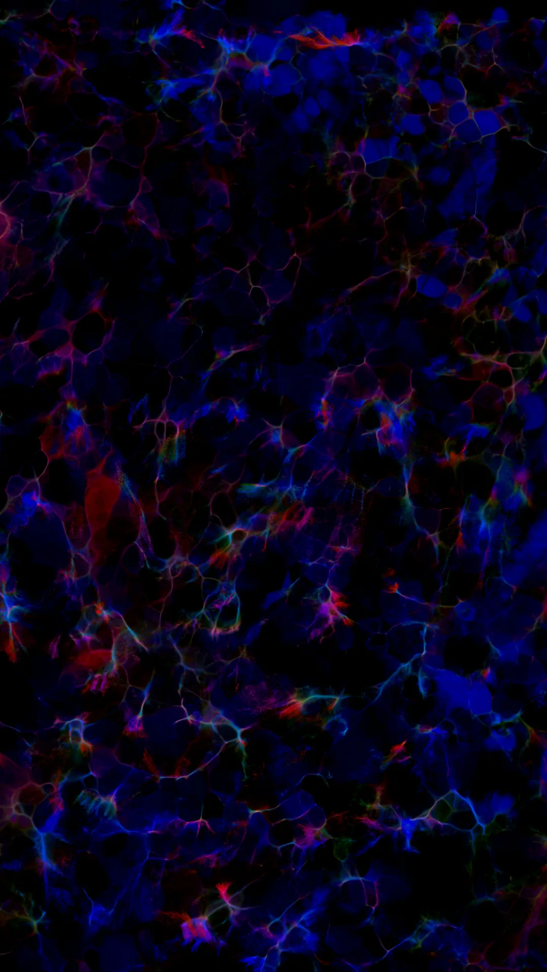 myceliumaudio