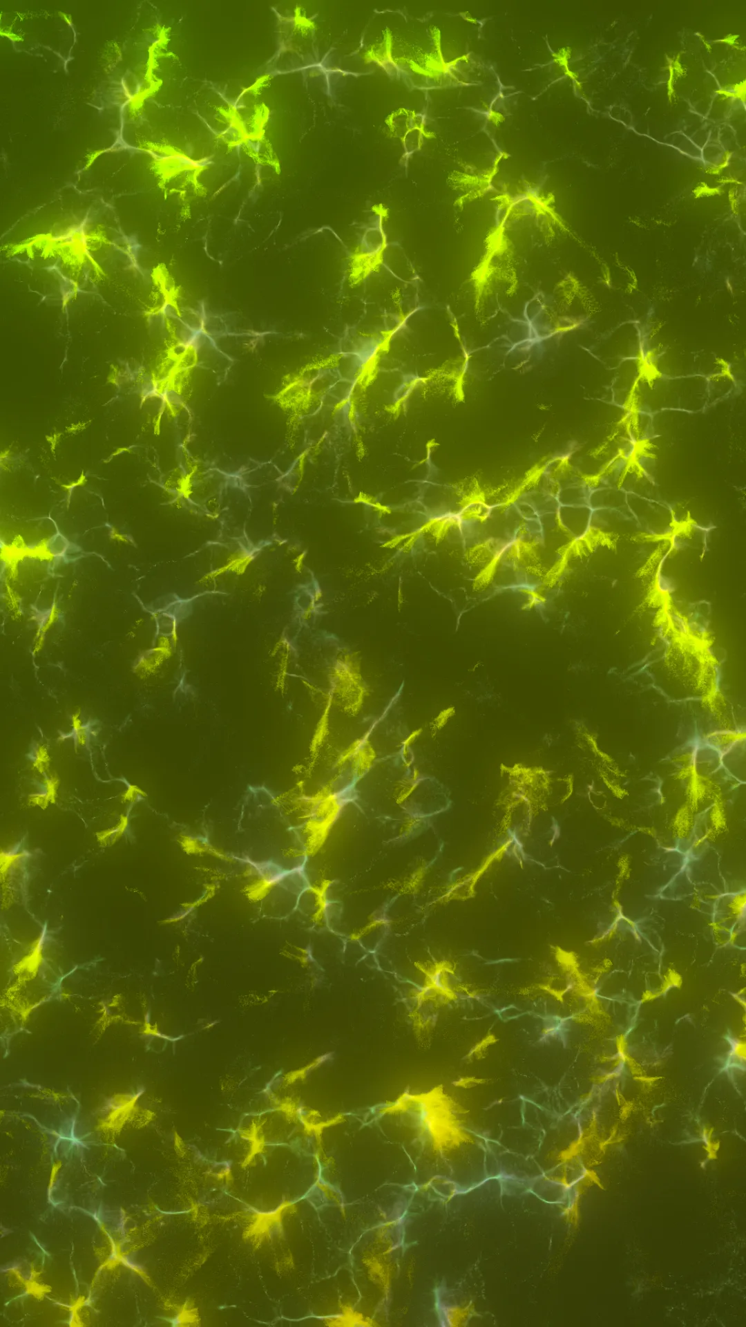 myceliumaudio