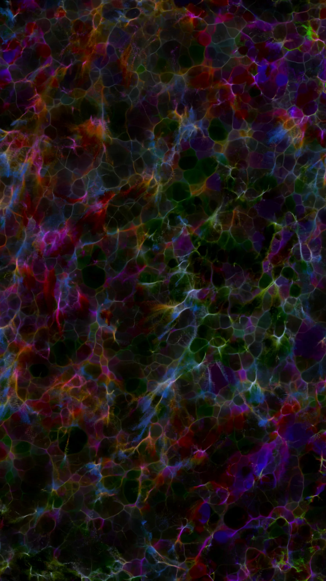 myceliumaudio